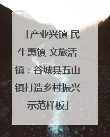 产业兴镇 民生惠镇 文旅活镇：谷城县五山镇打造乡村振兴示范样板