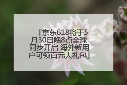 京东618将于5月30日晚8点全球同步开启 海外新用户可领百元大礼包