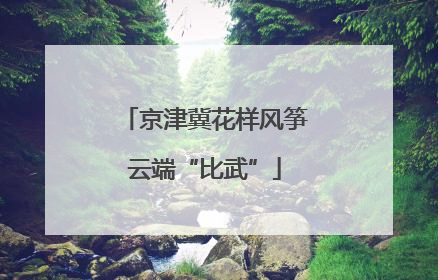 京津冀花样风筝云端“比武”