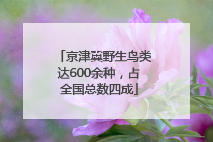京津冀野生鸟类达600余种，占全国总数四成