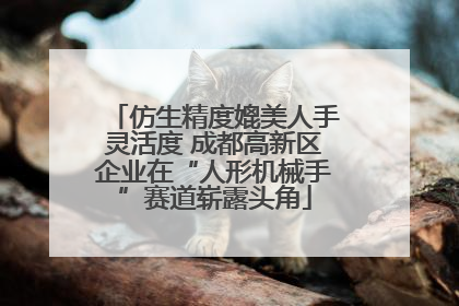 仿生精度媲美人手灵活度 成都高新区企业在“人形机械手”赛道崭露头角