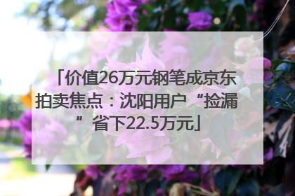 价值26万元钢笔成京东拍卖焦点：沈阳用户“捡漏”省下22.5万元