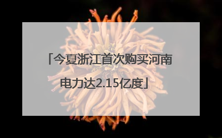 今夏浙江首次购买河南电力达2.15亿度