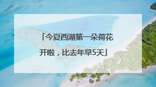 今夏西湖第一朵荷花开啦，比去年早5天