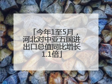 今年1至5月，河北对中亚五国进出口总值同比增长1.1倍