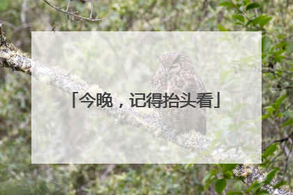 今晚，记得抬头看