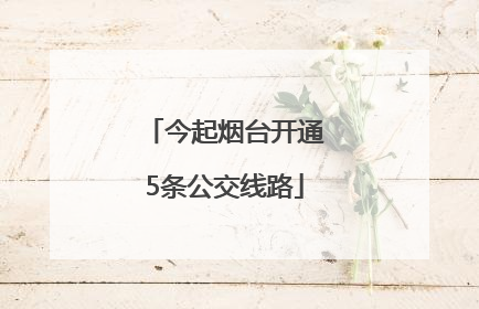 今起烟台开通5条公交线路