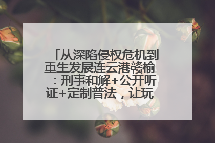 从深陷侵权危机到重生发展连云港赣榆：刑事和解+公开听证+定制普法，让玩具公司回到正轨