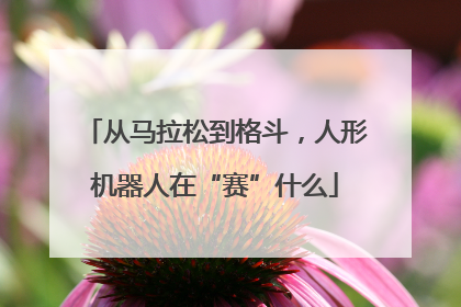 从马拉松到格斗，人形机器人在“赛”什么