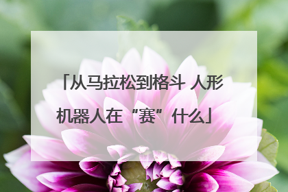 从马拉松到格斗 人形机器人在“赛”什么