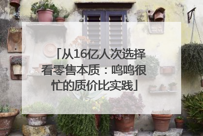 从16亿人次选择看零售本质：鸣鸣很忙的质价比实践