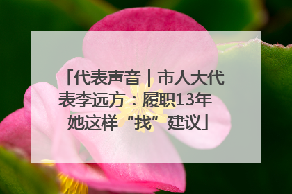 代表声音｜市人大代表李远方：履职13年 她这样“找”建议