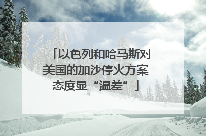 以色列和哈马斯对美国的加沙停火方案态度显“温差”