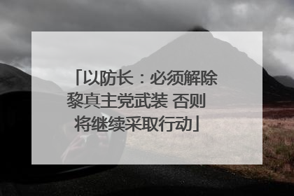 以防长：必须解除黎真主党武装 否则将继续采取行动