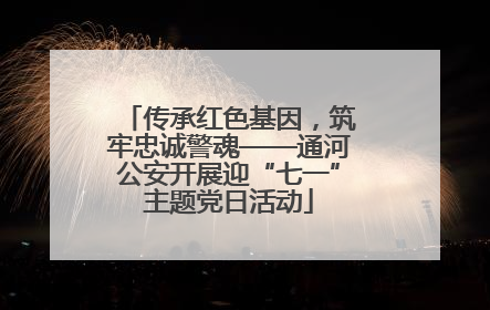 传承红色基因，筑牢忠诚警魂——通河公安开展迎“七一”主题党日活动
