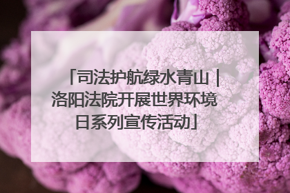 司法护航绿水青山｜洛阳法院开展世界环境日系列宣传活动