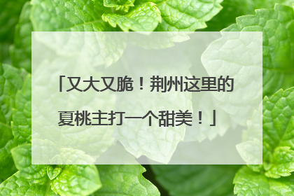 又大又脆！荆州这里的夏桃主打一个甜美！