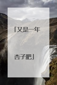 又是一年杏子肥