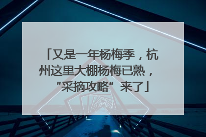 又是一年杨梅季，杭州这里大棚杨梅已熟，“采摘攻略”来了