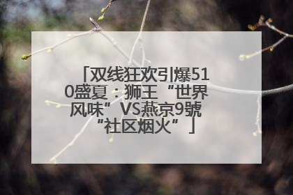 双线狂欢引爆510盛夏：狮王“世界风味”VS燕京9號“社区烟火”