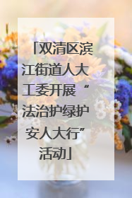 双清区滨江街道人大工委开展“法治护绿护安人大行”活动