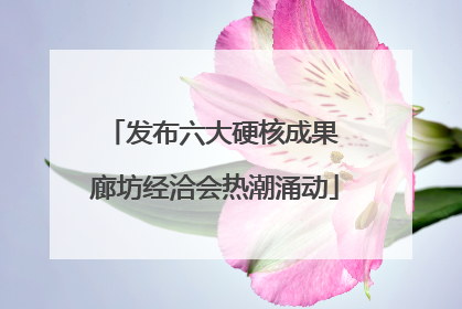 发布六大硬核成果 廊坊经洽会热潮涌动