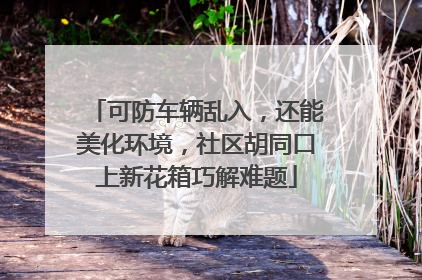 可防车辆乱入，还能美化环境，社区胡同口上新花箱巧解难题