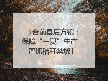台前县后方镇：保障“三夏”生产 严抓秸秆禁烧
