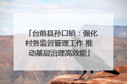 台前县孙口镇：强化村务监督管理工作 推动基层治理高效能