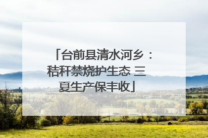 台前县清水河乡：秸秆禁烧护生态 三夏生产保丰收