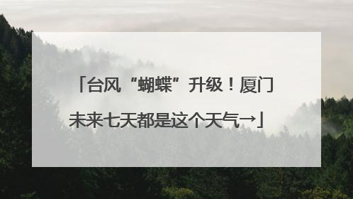 台风“蝴蝶”升级！厦门未来七天都是这个天气→