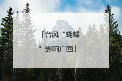 台风“蝴蝶”影响广西