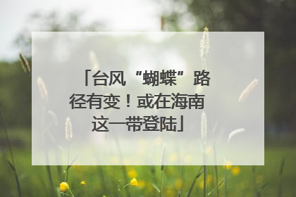 台风“蝴蝶”路径有变！或在海南这一带登陆