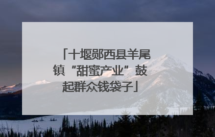 十堰郧西县羊尾镇“甜蜜产业”鼓起群众钱袋子