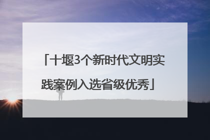 十堰3个新时代文明实践案例入选省级优秀