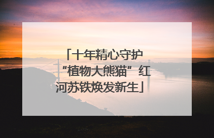 十年精心守护 “植物大熊猫”红河苏铁焕发新生
