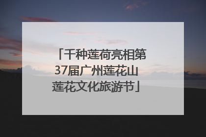 千种莲荷亮相第37届广州莲花山莲花文化旅游节