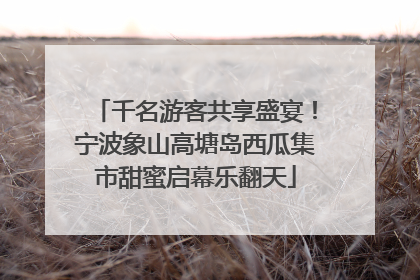 千名游客共享盛宴！宁波象山高塘岛西瓜集市甜蜜启幕乐翻天