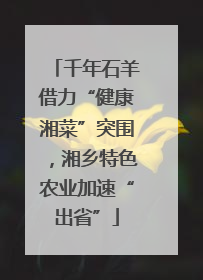 千年石羊借力“健康湘菜”突围，湘乡特色农业加速“出省”
