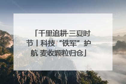 千里追耕·三夏时节丨科技“铁军”护航 麦收颗粒归仓
