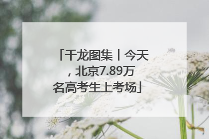 千龙图集丨今天，北京7.89万名高考生上考场