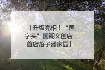 升级亮相！“国字头”国潮文创店首店落子潘家园