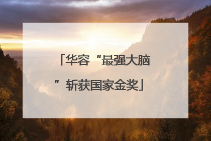 华容“最强大脑”斩获国家金奖