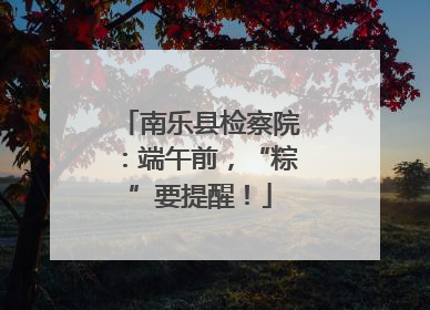 南乐县检察院：端午前，“粽”要提醒！