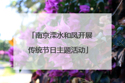 南京溧水和凤开展传统节日主题活动
