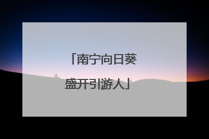 南宁向日葵盛开引游人