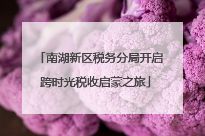 南湖新区税务分局开启跨时光税收启蒙之旅