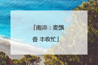 南漳：麦飘香 丰收忙