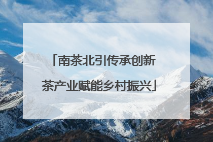 南茶北引传承创新 茶产业赋能乡村振兴