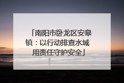 南阳市卧龙区安皋镇：以行动排查水域 用责任守护安全